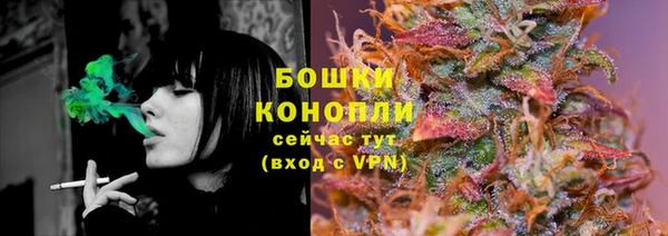 гидропоника Белокуриха