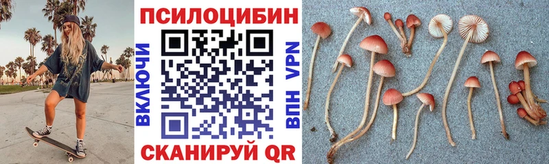 Псилоцибиновые грибы MAGIC MUSHROOMS  Купить закладки  Ирбит 